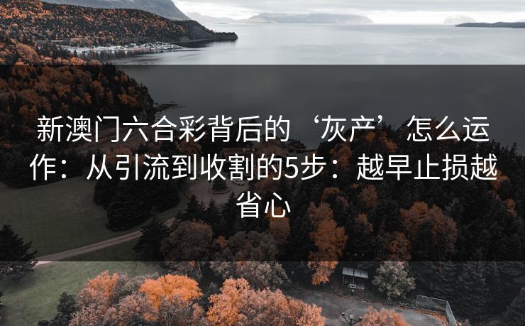 新澳门六合彩背后的‘灰产’怎么运作：从引流到收割的5步：越早止损越省心